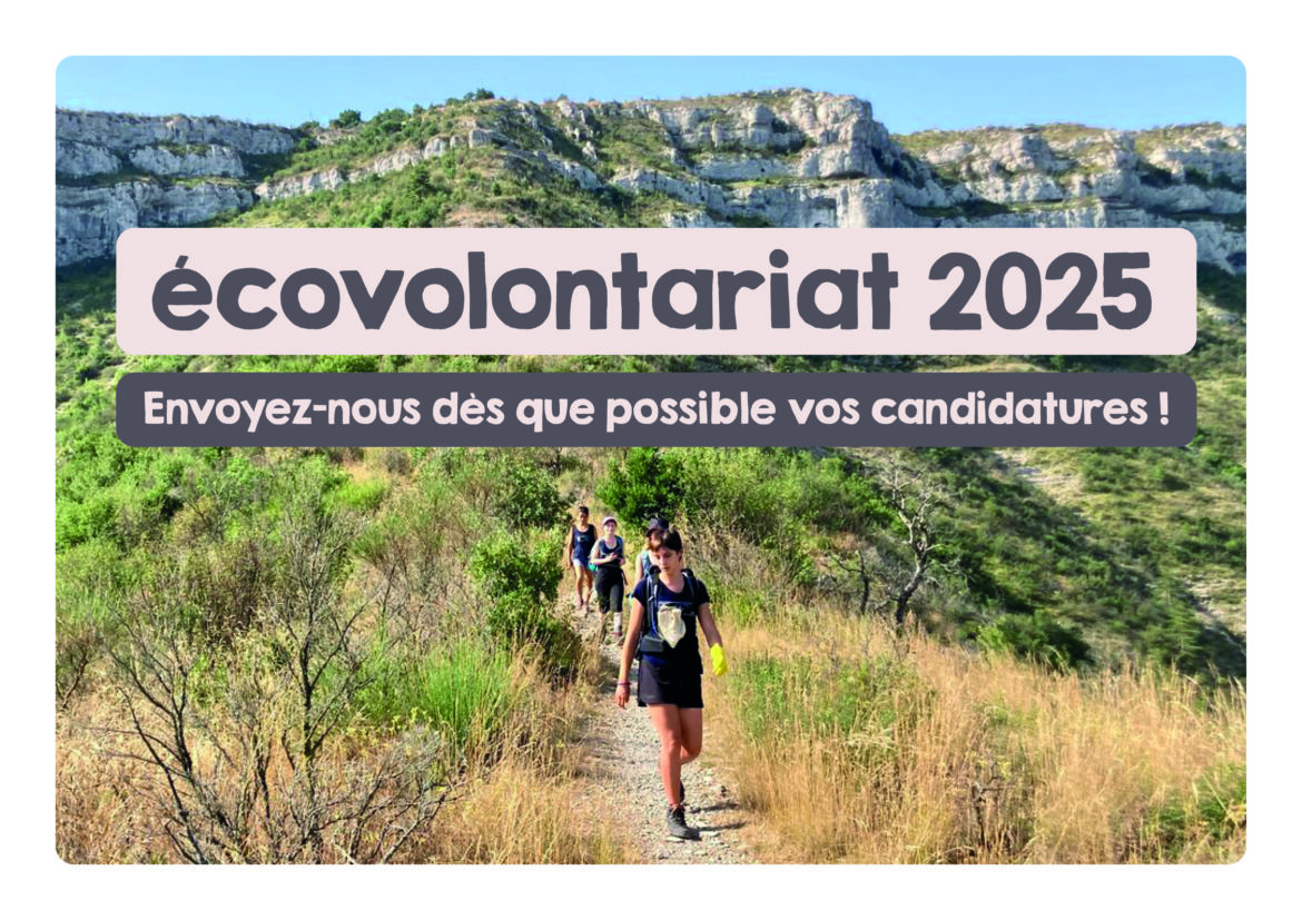 Les candidatures pour l’écovolontariat 2025 sont ouvertes !